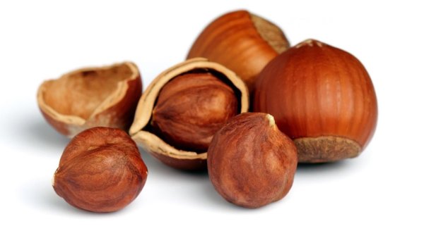 Дуб мультяшный