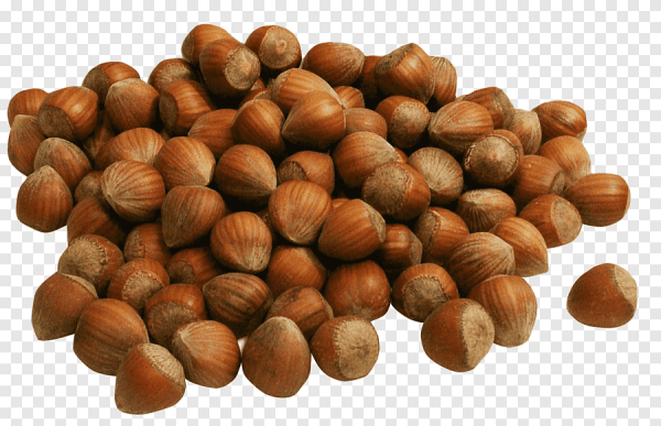 Лесной орех (Hazelnut)