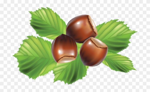 Орех мультяшный