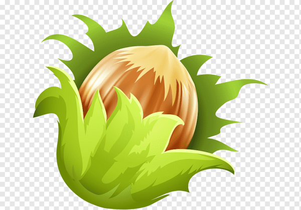 Сухофрукты без фона