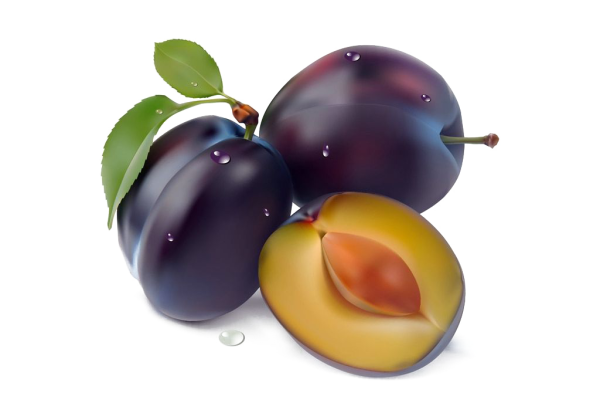 Сливы на белом фоне
