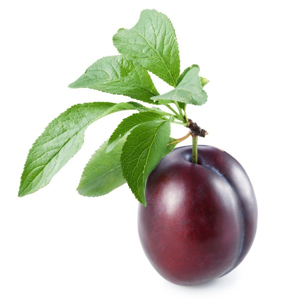Фрукты слива