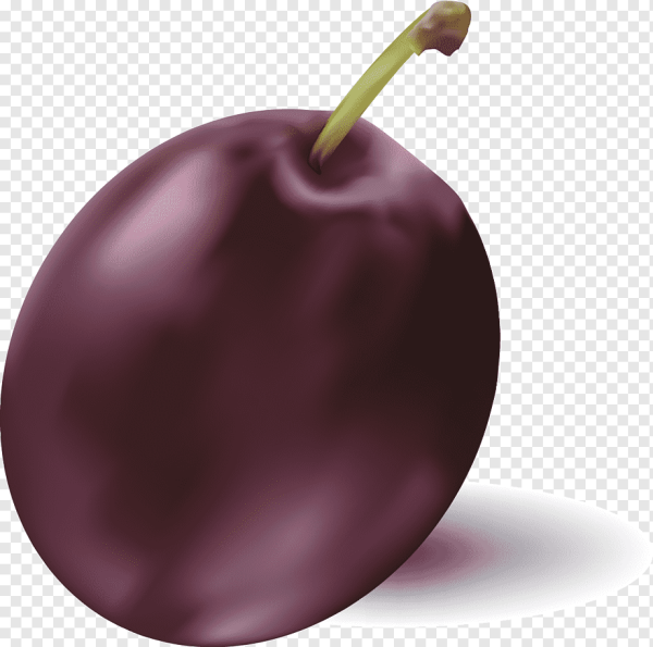 Слива для детей