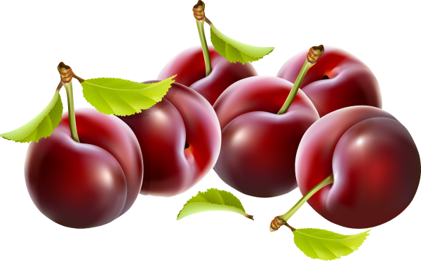 Сливы на прозрачном фоне