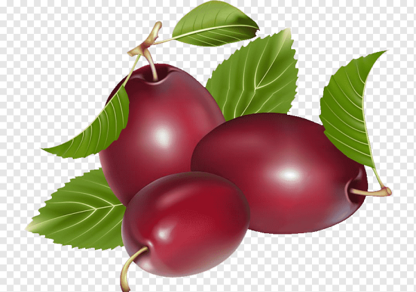 Сливы детей