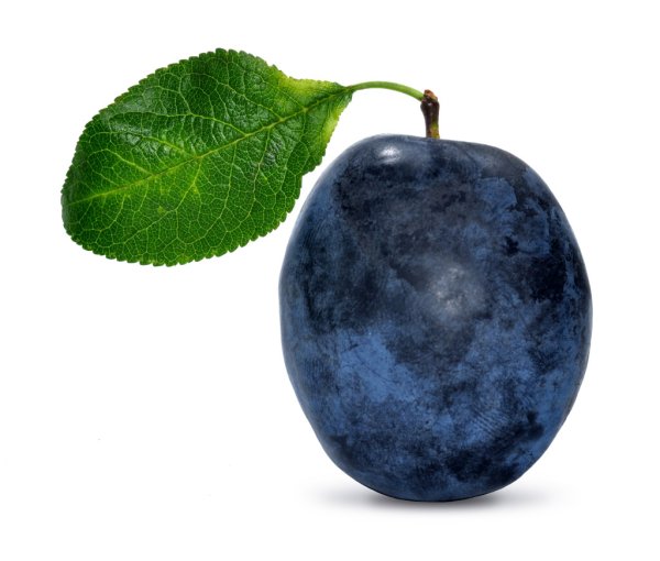 Фрукты слива