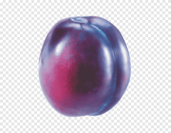 Слива на белом фоне