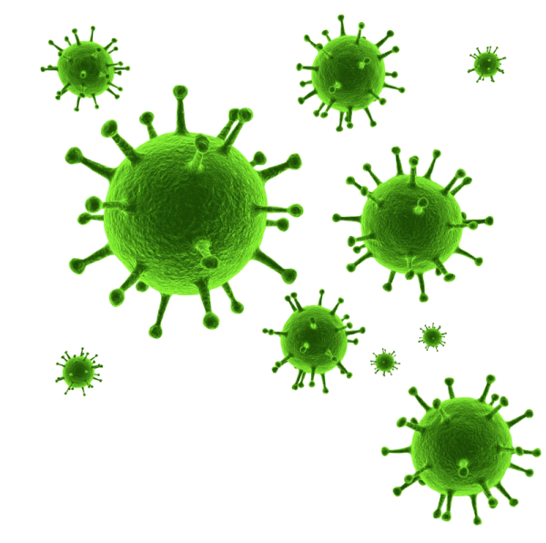 Вирус covid19 virus