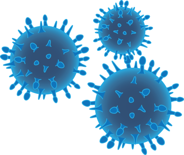 Бактерии бактерии coronavirus