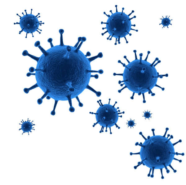 Вирус Covid 19