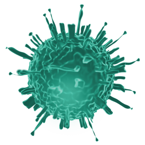 Коронавирус вектор