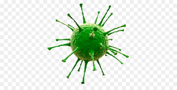 Вирус микробы коронавирус