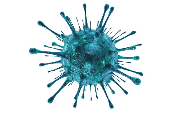 Вирус гриппа без фона