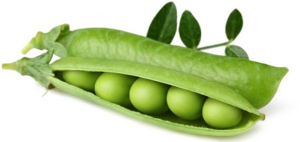 Зеленый горошек на белом фоне