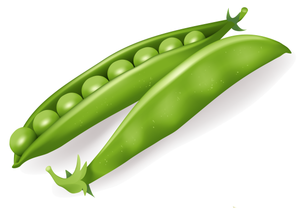 Горох для детей