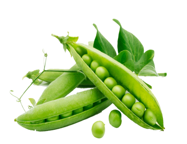 Зелёный горошек