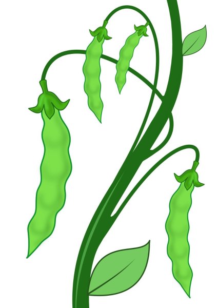 Нарисовать горох