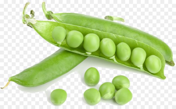 Зеленый горошек стручок