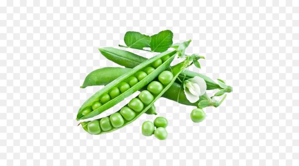 Зеленый горох