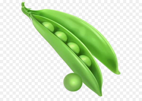 Клипарт овощи на прозрачном фоне