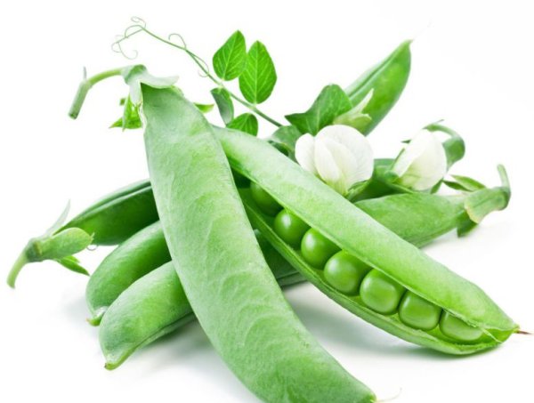 Зеленый горошек стручок