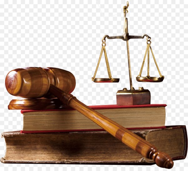 Суд без фона