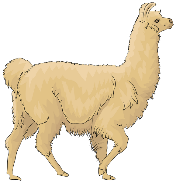 Лама для детей