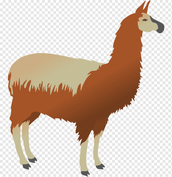 Лама вектор