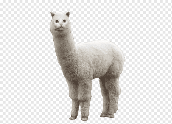 Рисовать ламу