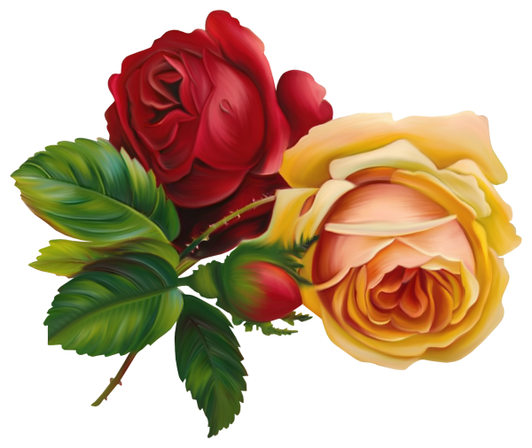 Клипарт цветы на прозрачном фоне