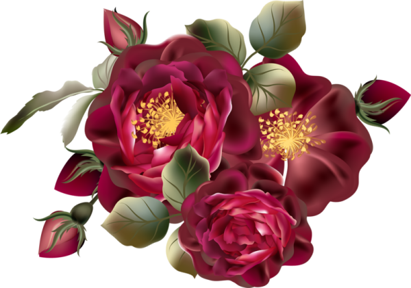 Пионы марсала