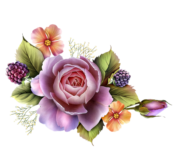 Цветы клипарт