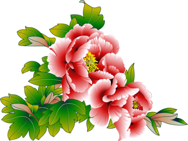 Цветы на прозрачном фоне