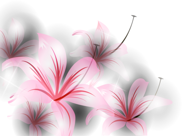 Цветы на прозрачной подложке