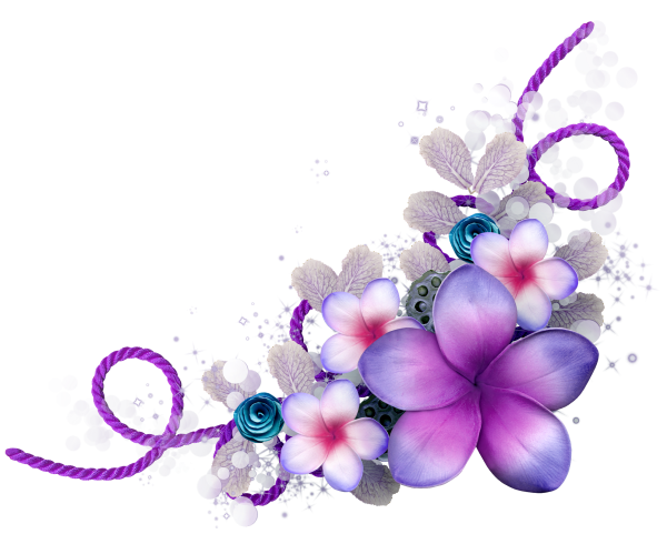 Сиреневые цветы на прозрачном фоне