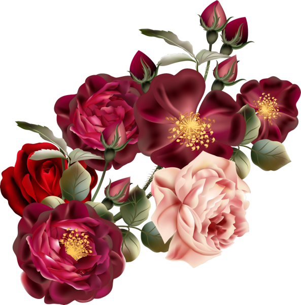 Цветы на прозрачном фоне