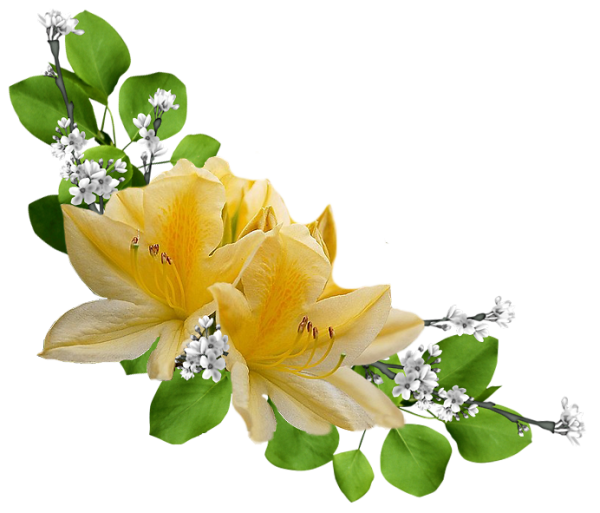 Композиция на прозрачном фоне