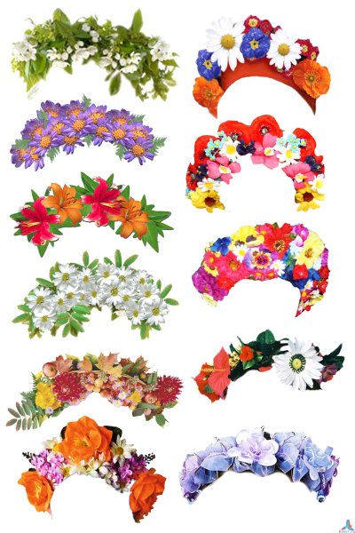 Венок из цветов на белом фоне