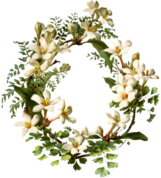 Цветы венок