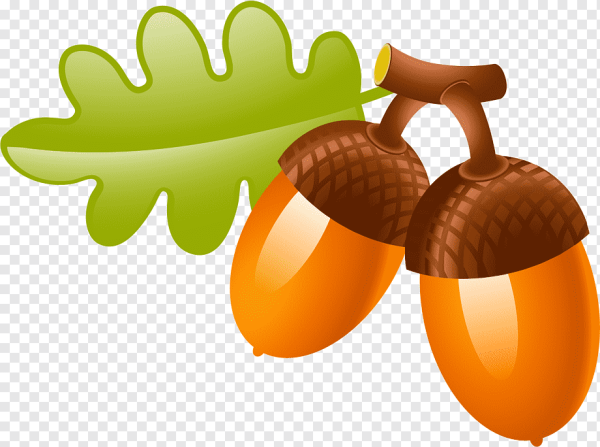 Желуди мультяшные