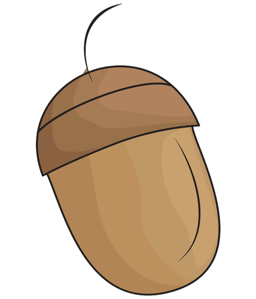 Желудь клипарт