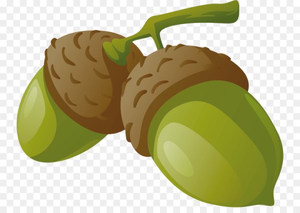 Желуди мультяшные