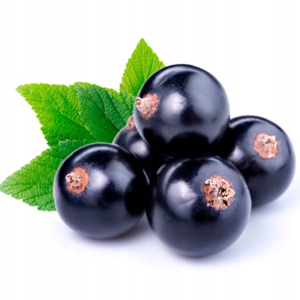 Black Currant (чёрная смородина) Алкотек