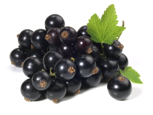 Смородина чёрная