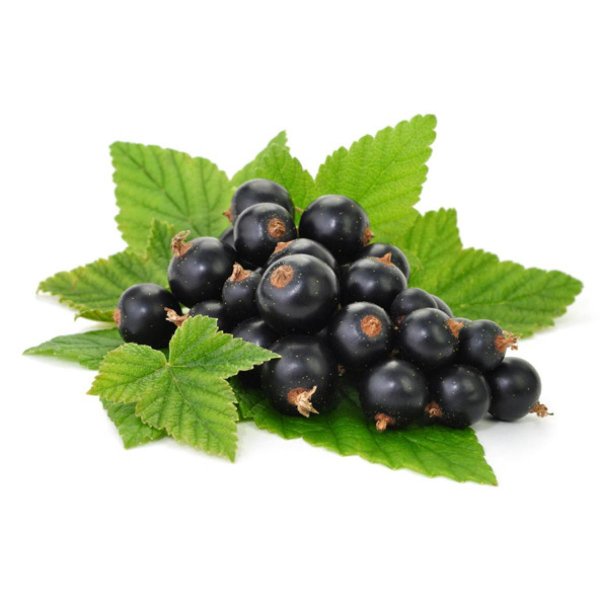 Смородина чёрная Изюмная