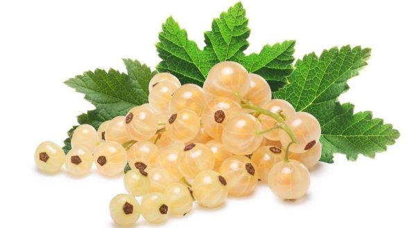 Ягоды белой смородины