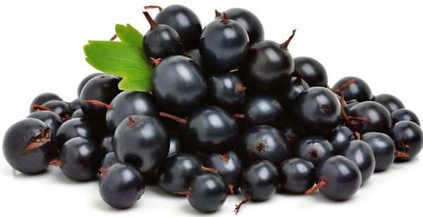Черная и белая смородина