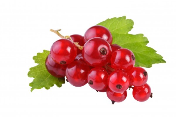 Ягоды красной смородины