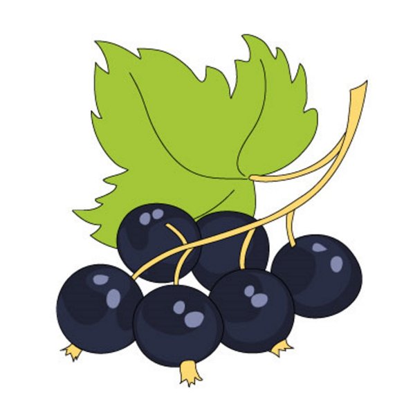 Смородина мультяшная