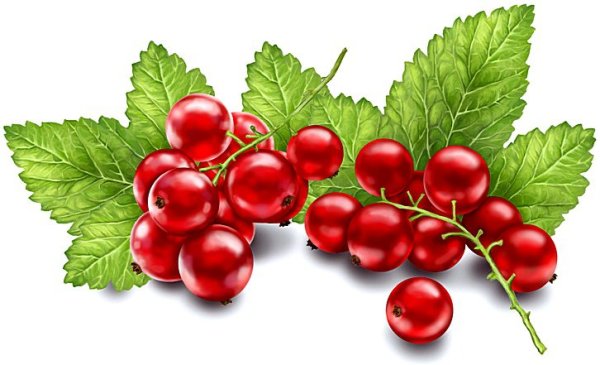 Ягодка Смородинка